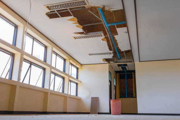 Best Water damage contractors near me  in Fest Grove, OR